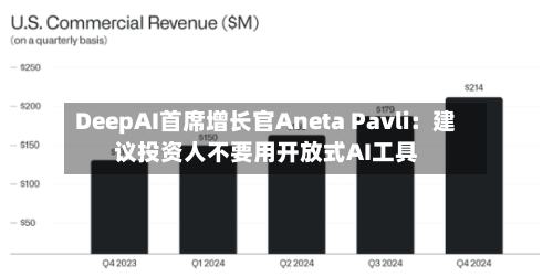 DeepAI首席增长官Aneta Pavli：建议投资人不要用开放式AI工具-第2张图片