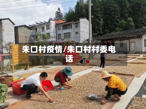 朱口村疫情/朱口村村委电话-第3张图片