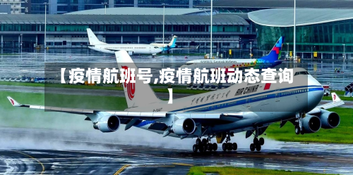 【疫情航班号,疫情航班动态查询】-第2张图片