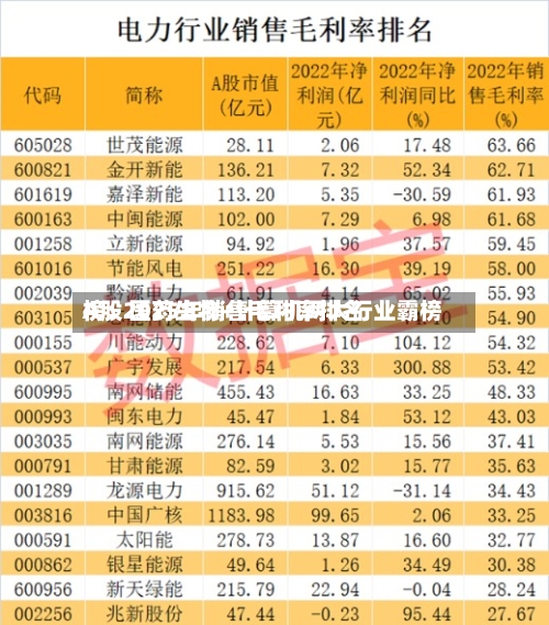 A股2025年销售毛利率排名榜：医药生物+计算机两大行业霸榜-第2张图片