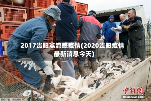 2017贵阳禽流感疫情(2020贵阳疫情最新消息今天)