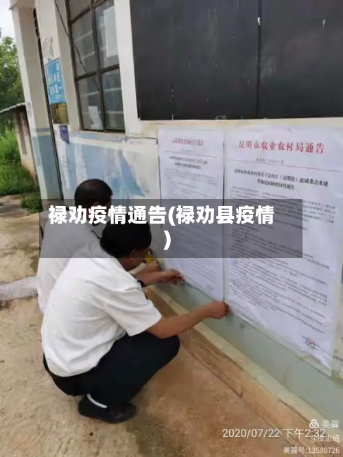 禄劝疫情通告(禄劝县疫情)-第2张图片