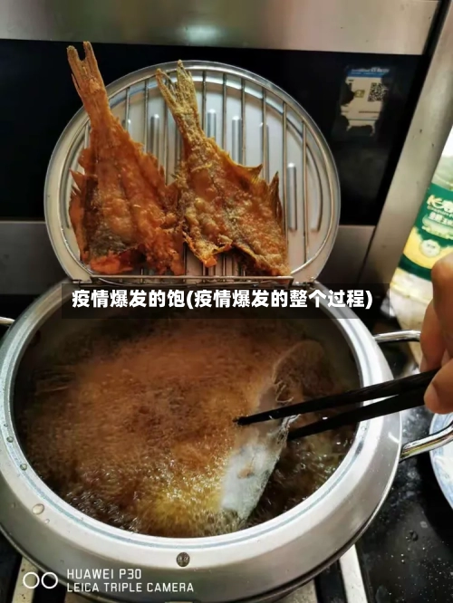 疫情爆发的饱(疫情爆发的整个过程)-第2张图片