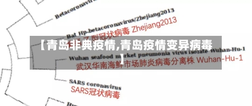 【青岛非典疫情,青岛疫情变异病毒】-第3张图片