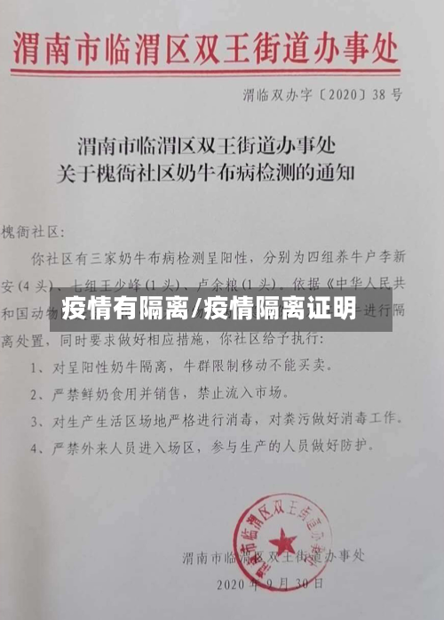 疫情有隔离/疫情隔离证明-第3张图片