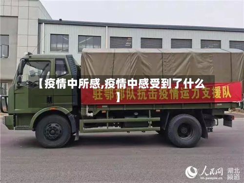 【疫情中所感,疫情中感受到了什么】