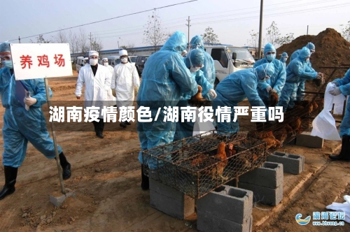 湖南疫情颜色/湖南役情严重吗-第3张图片