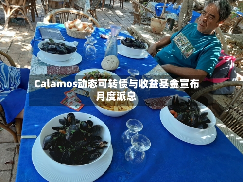 Calamos动态可转债与收益基金宣布月度派息-第3张图片
