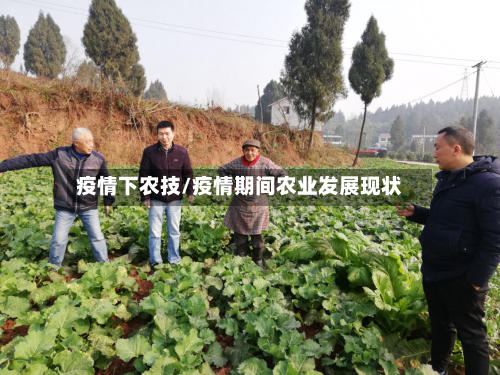 疫情下农技/疫情期间农业发展现状