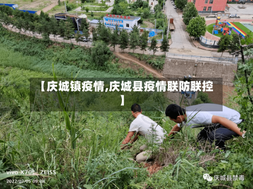 【庆城镇疫情,庆城县疫情联防联控】
