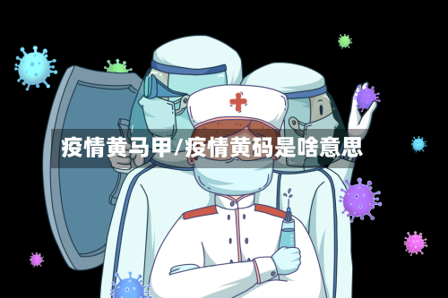 疫情黄马甲/疫情黄码是啥意思-第2张图片