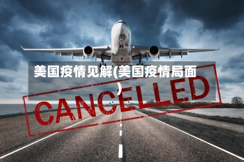 美国疫情见解(美国疫情局面)-第2张图片