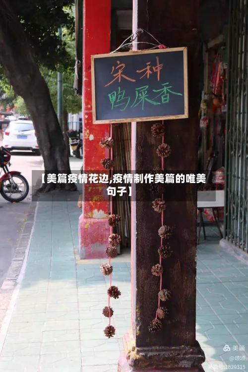 【美篇疫情花边,疫情制作美篇的唯美句子】-第3张图片