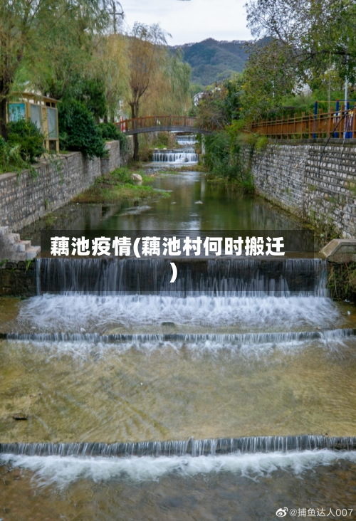 藕池疫情(藕池村何时搬迁)