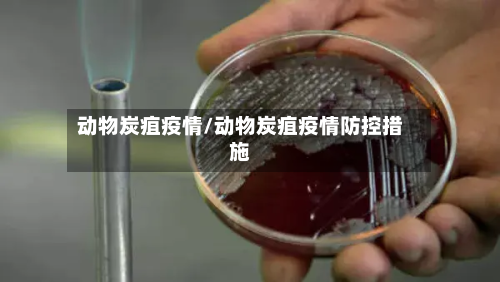 动物炭疽疫情/动物炭疽疫情防控措施-第2张图片
