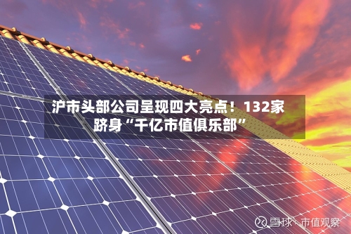 沪市头部公司呈现四大亮点！132家跻身“千亿市值俱乐部”-第3张图片