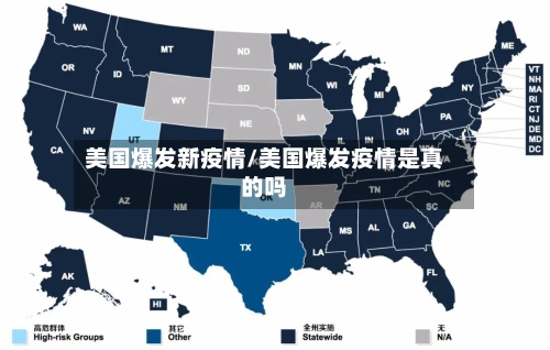 美国爆发新疫情/美国爆发疫情是真的吗-第3张图片