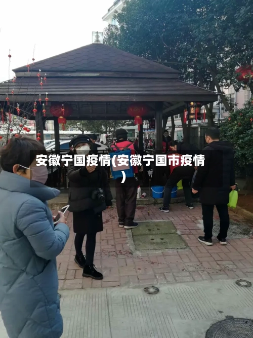 安徽宁国疫情(安徽宁国市疫情)-第2张图片