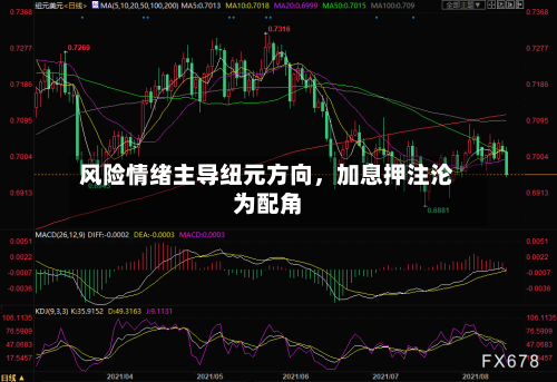 风险情绪主导纽元方向，加息押注沦为配角