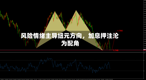 风险情绪主导纽元方向，加息押注沦为配角-第2张图片