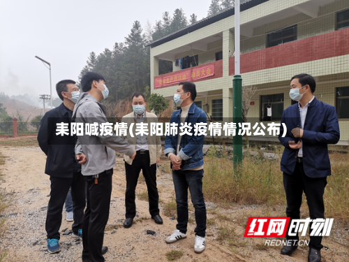 耒阳喊疫情(耒阳肺炎疫情情况公布)-第2张图片