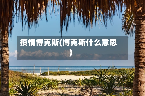疫情博克斯(博克斯什么意思)