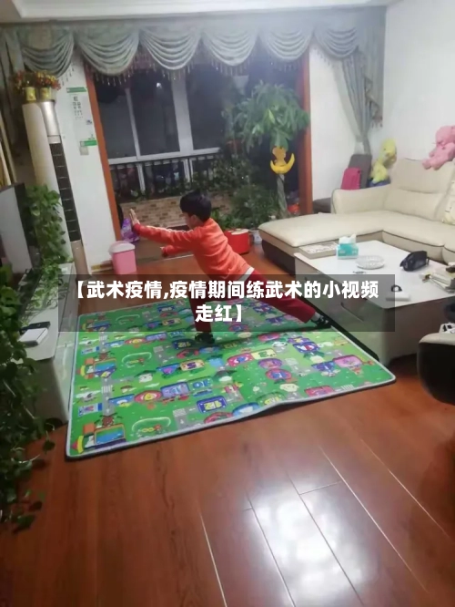 【武术疫情,疫情期间练武术的小视频走红】-第3张图片
