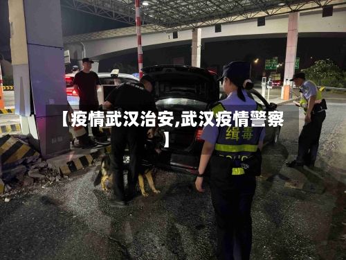 【疫情武汉治安,武汉疫情警察】-第2张图片