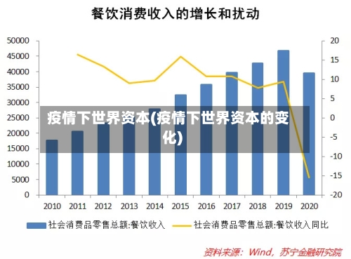 疫情下世界资本(疫情下世界资本的变化)-第2张图片