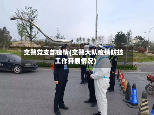 交警党支部疫情(交警大队疫情防控工作开展情况)