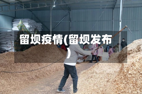 留坝疫情(留坝发布)